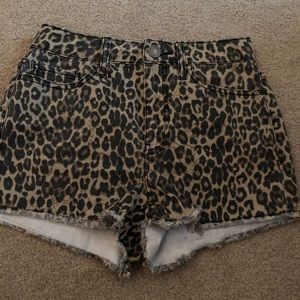 leopard print shorts